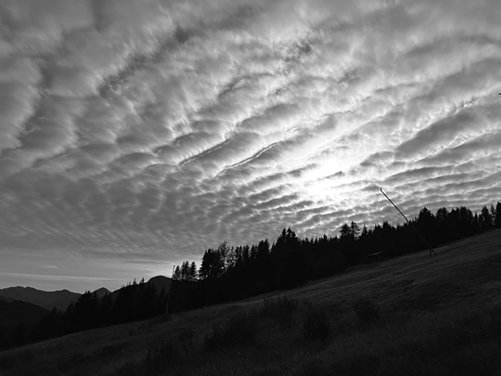 IMG_1985