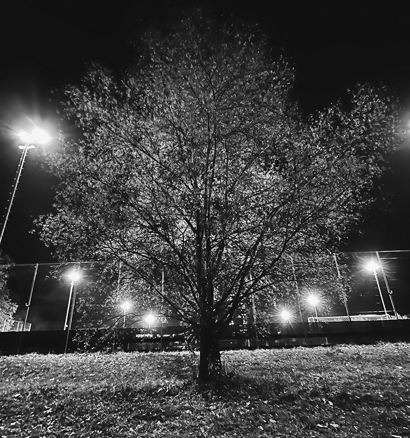 IMG_3192