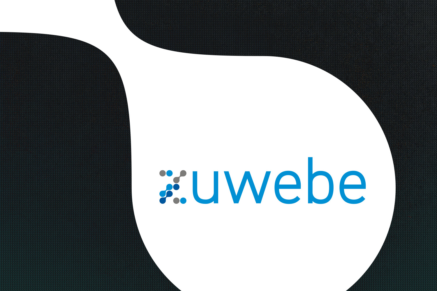 03logo-zuwebe