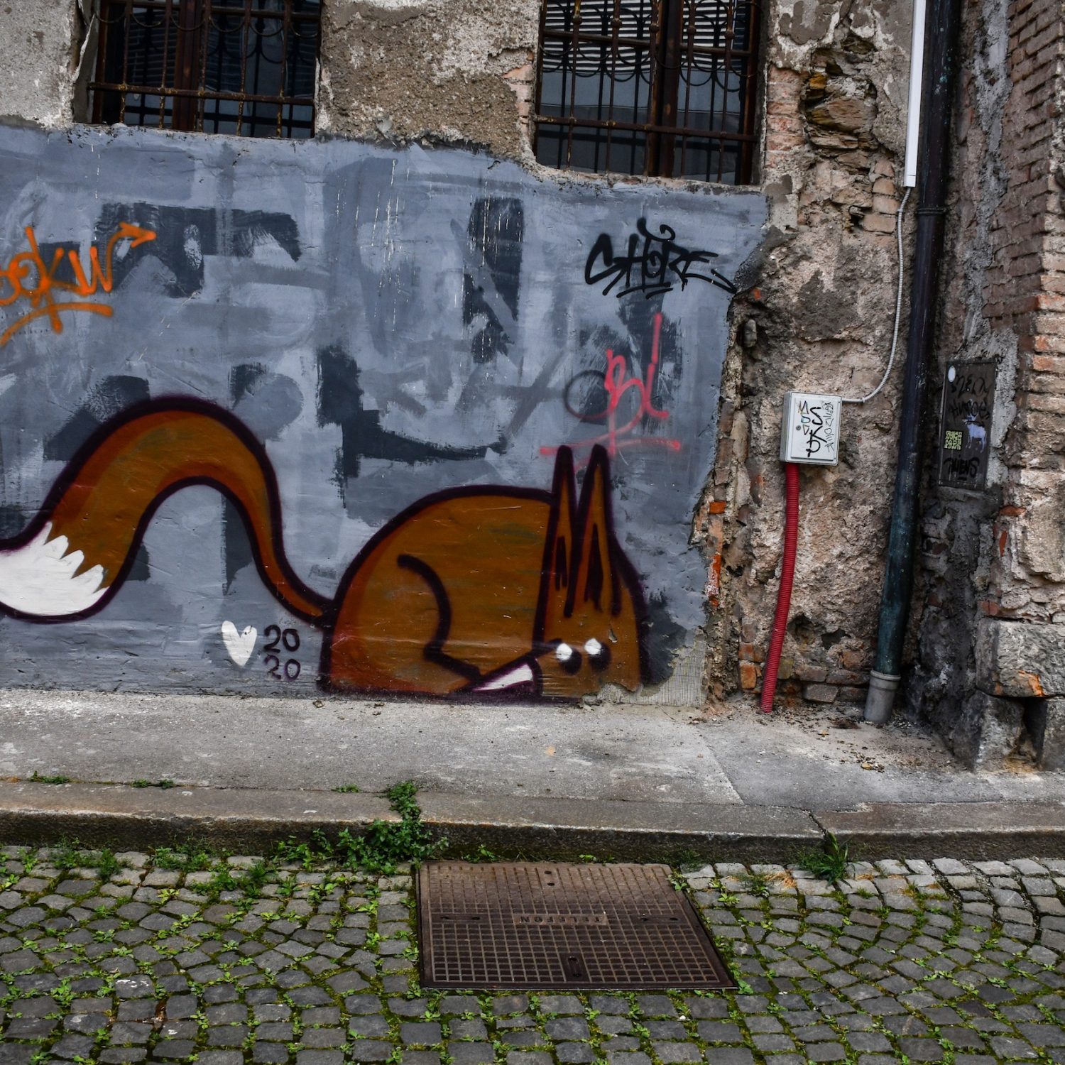 DSC_1444