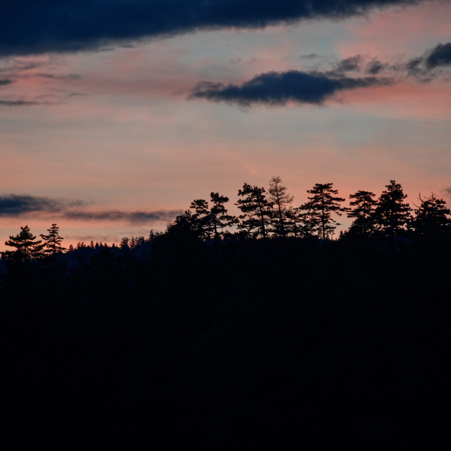 DSC_1454