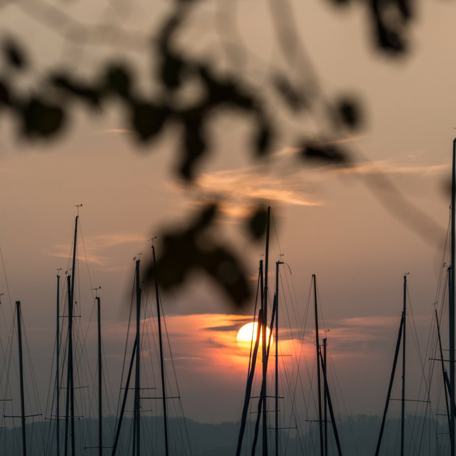 DSC_5509 Kopie